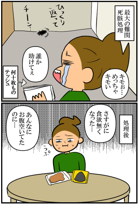 blog2212a