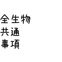 トップ画