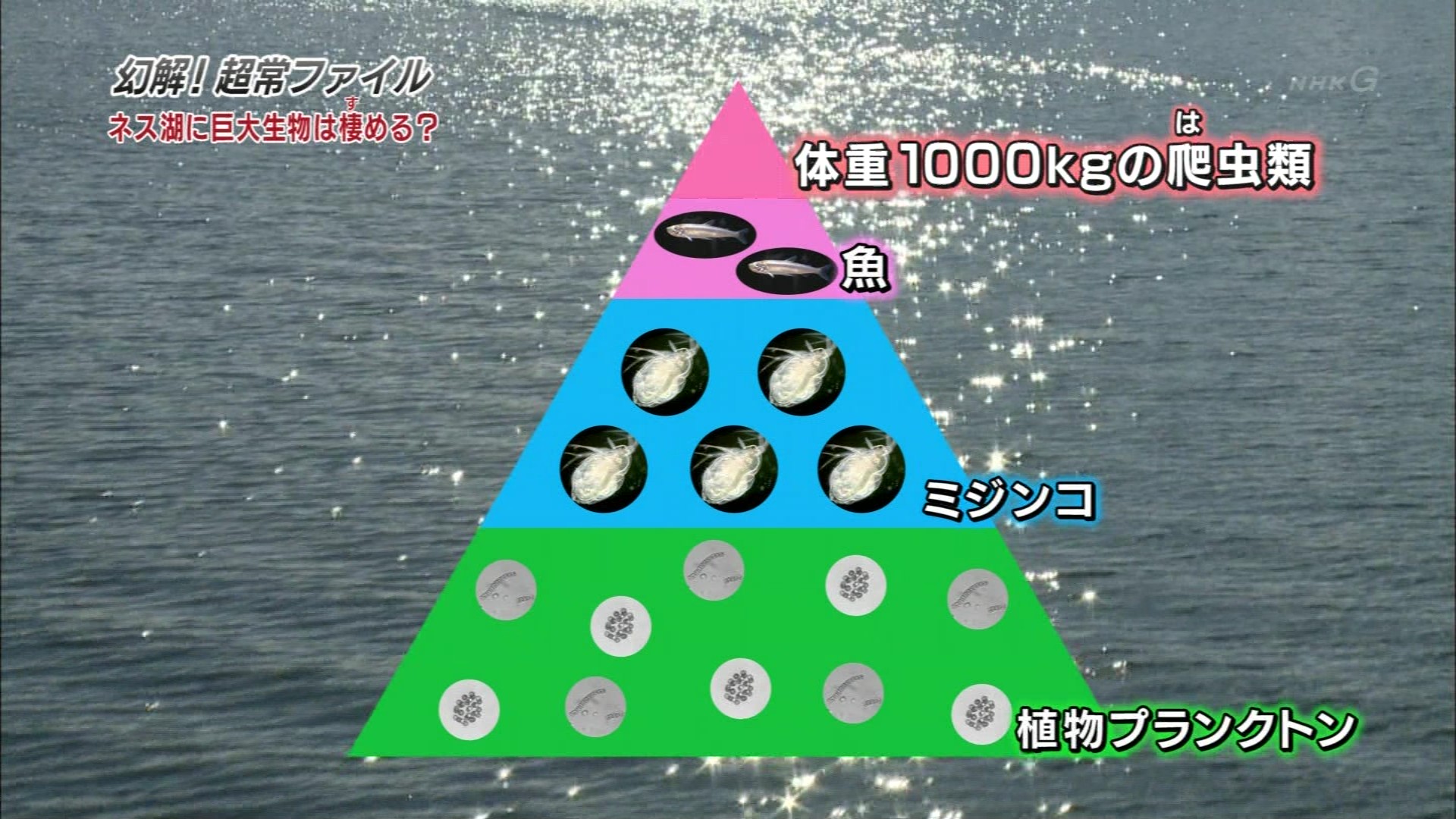 幻解 超常ファイル ネッシーの真実 part2 File 05 こんなテレビを見た 幻解 超常ファイル ネッシーの真実 part2 File 05 こんなテレビを見た