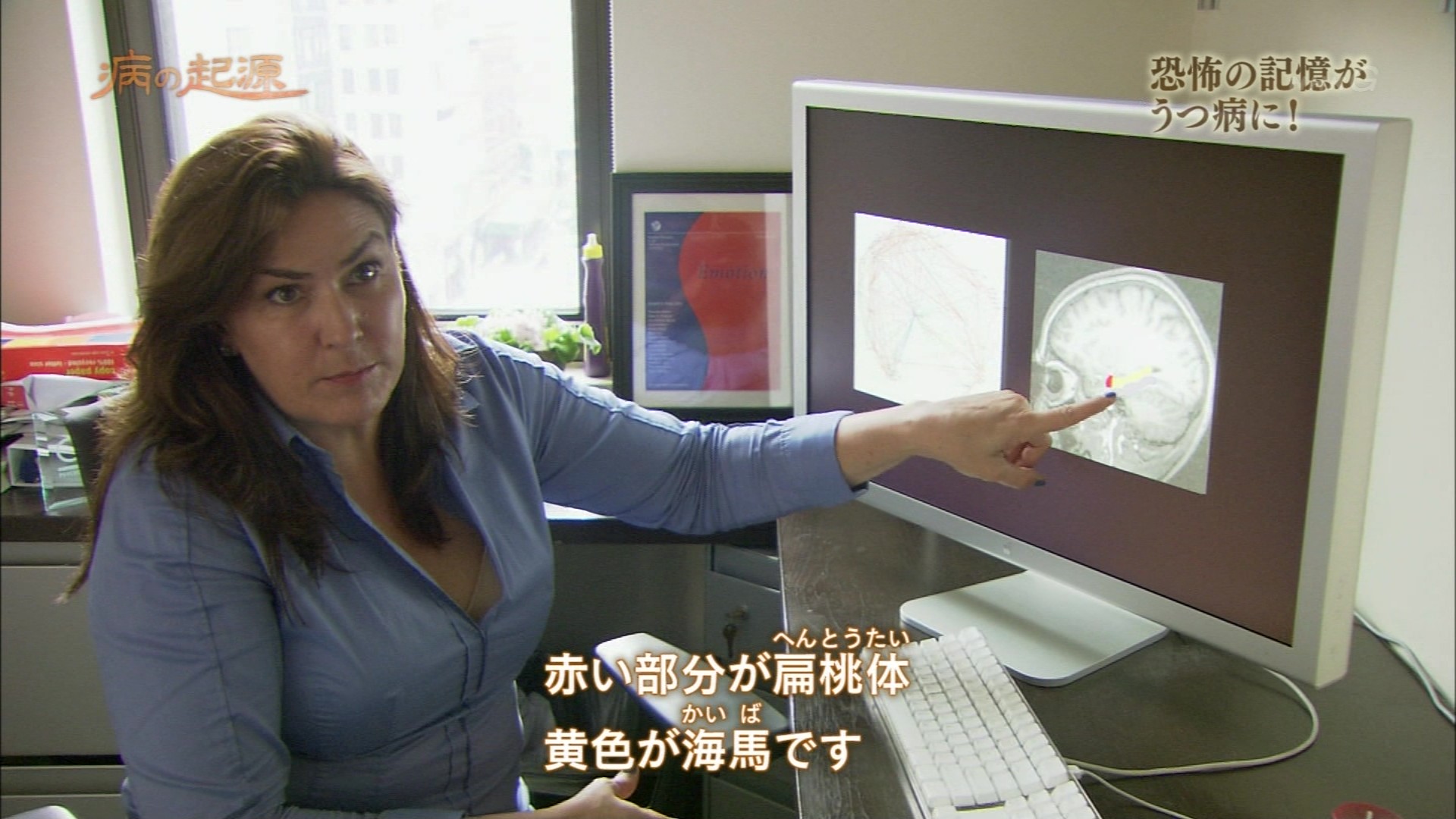 Nスペ 病の起源 第3集「うつ病～防衛本能がもたらす宿命 ...