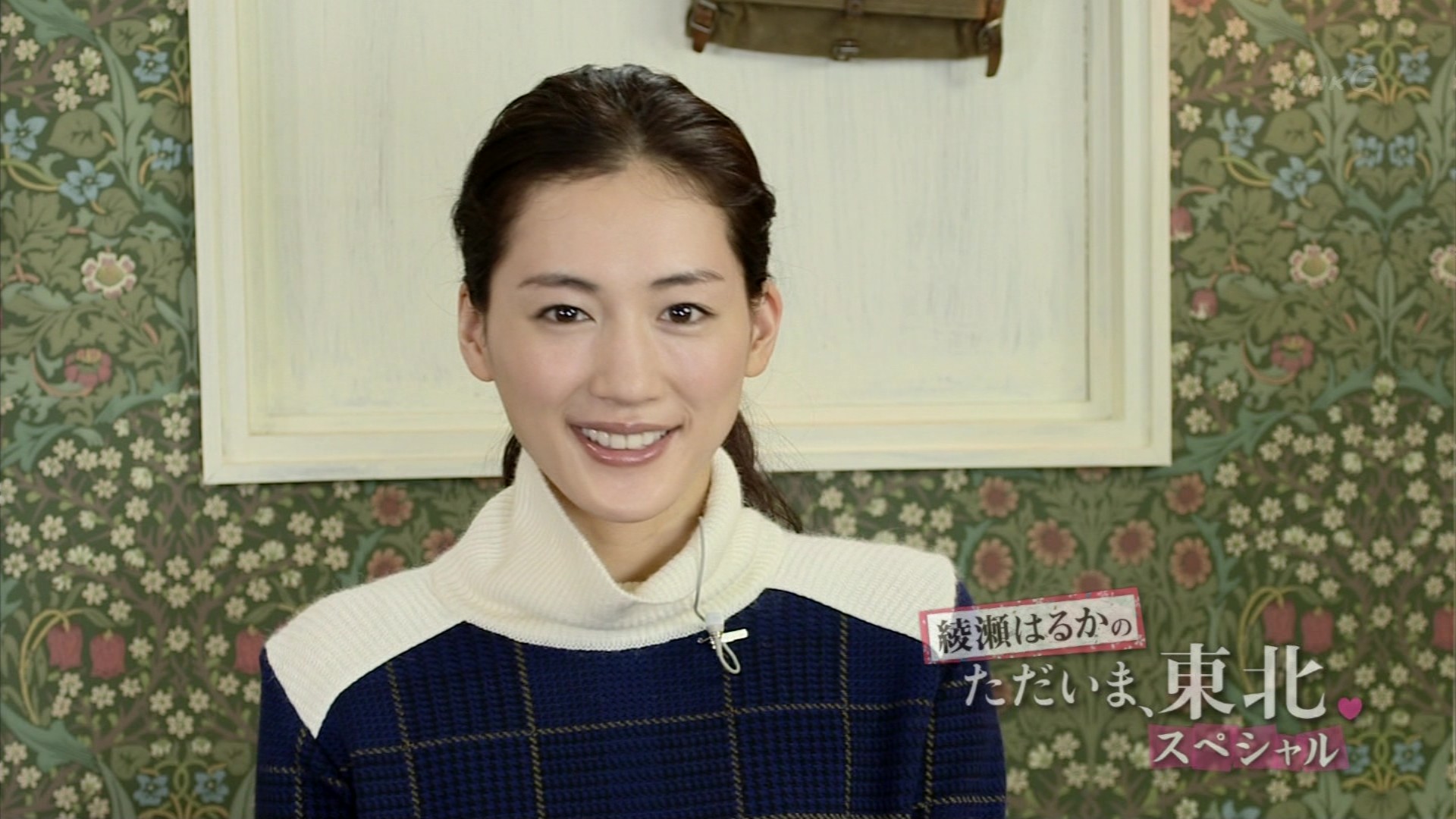 綾瀬はるかの ただいま 東北 スペシャル こんなテレビを見た