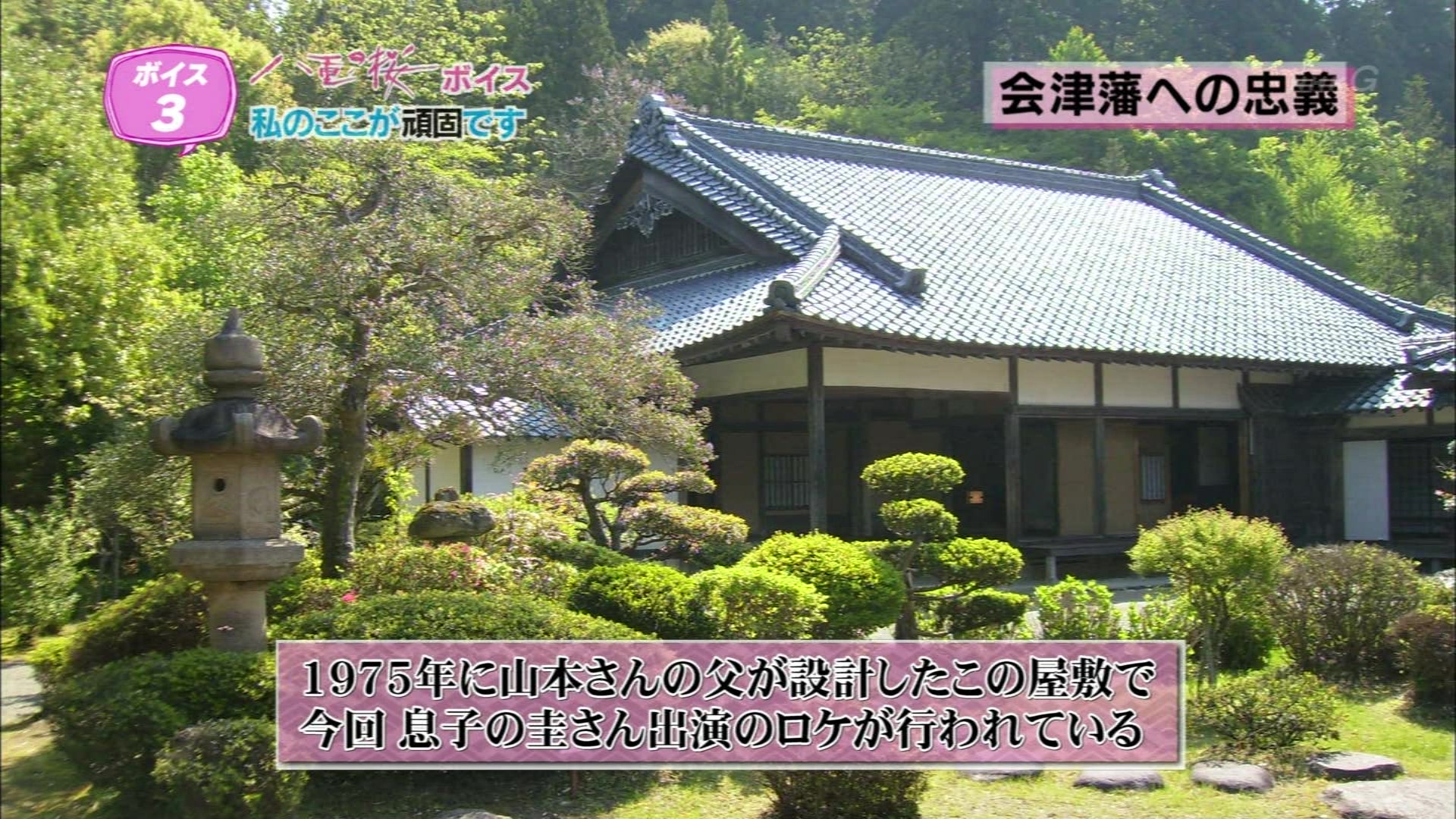 あなたが主役50ボイス 新春スペシャル 大河ドラマ 八重の桜ボイス こんなテレビを見た あなたが主役50ボイス 新春スペシャル 大河ドラマ 八重の桜ボイス こんなテレビを見た