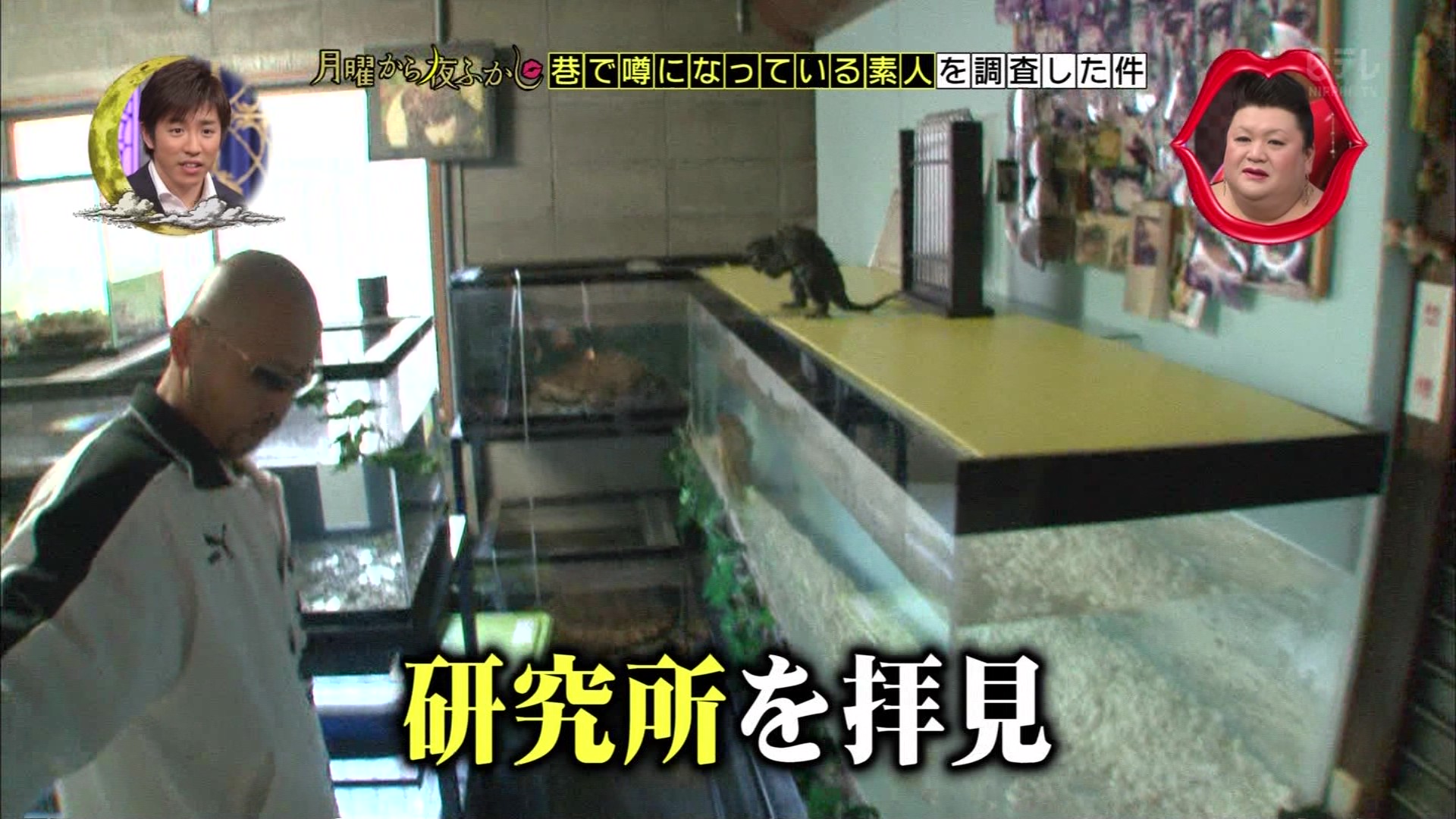 月曜から夜ふかし ワニガメ生態研究所 こんなテレビを見た