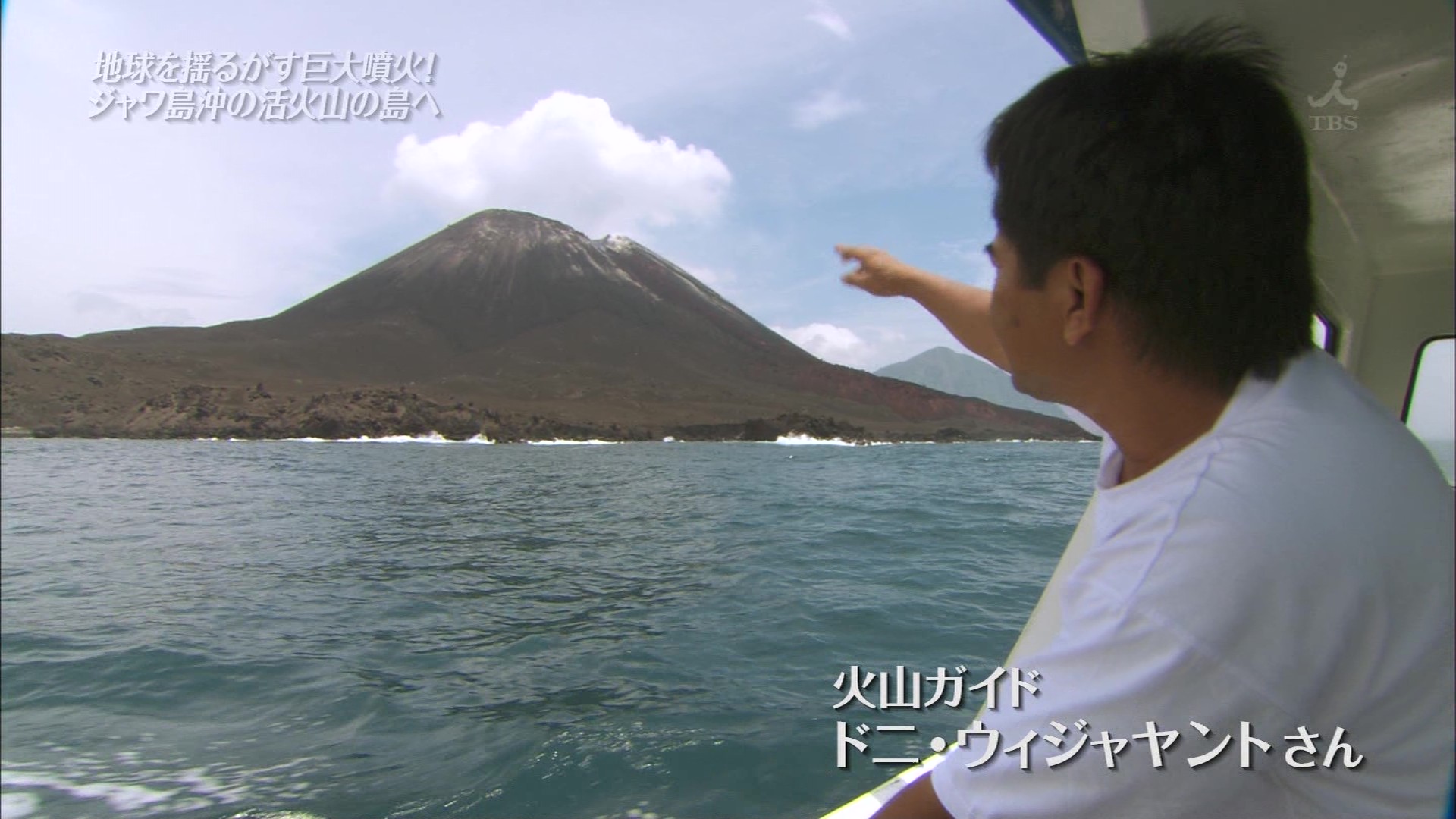 ｔｈｅ世界遺産 大津波から甦った森で幻のサイを追う インドネシア こんなテレビを見た