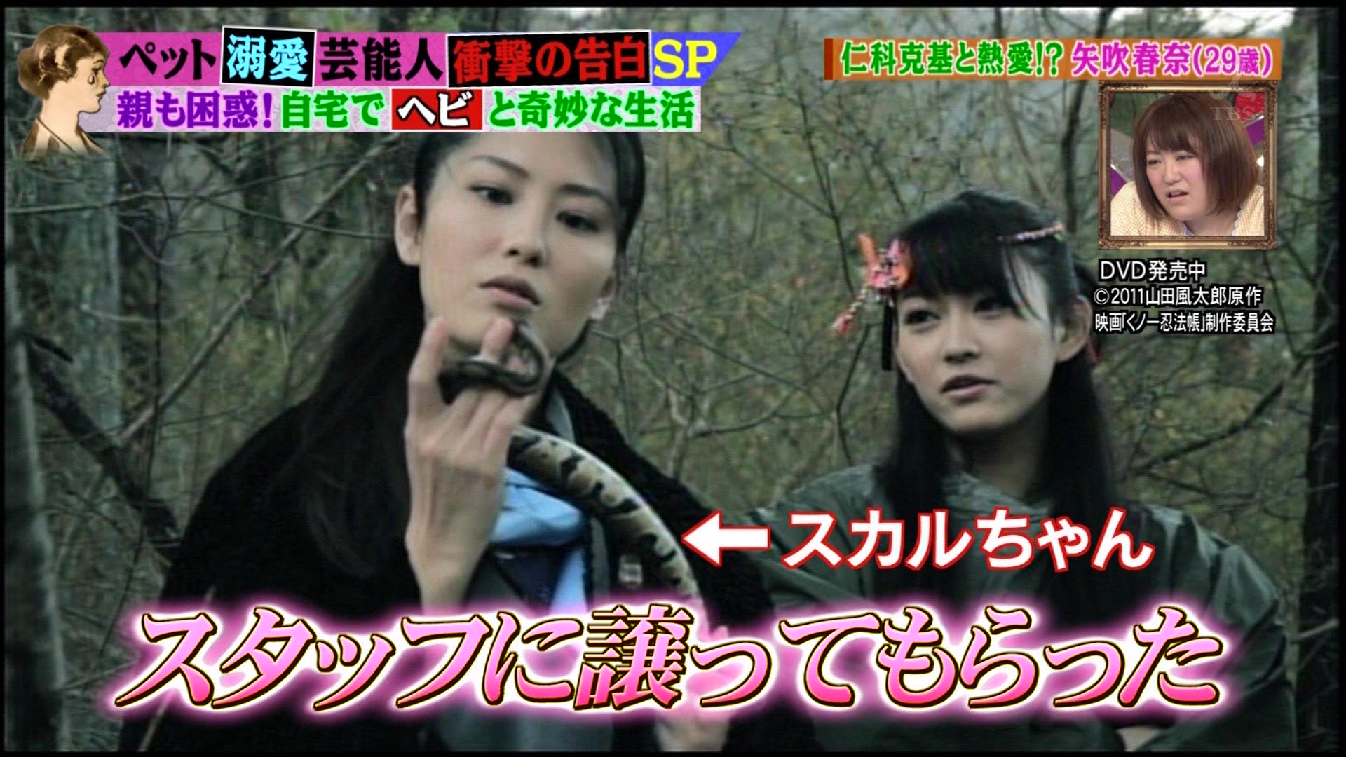 私の何がイケないの ペット溺愛芸能人 堀北真希 矢吹春奈 こんなテレビを見た