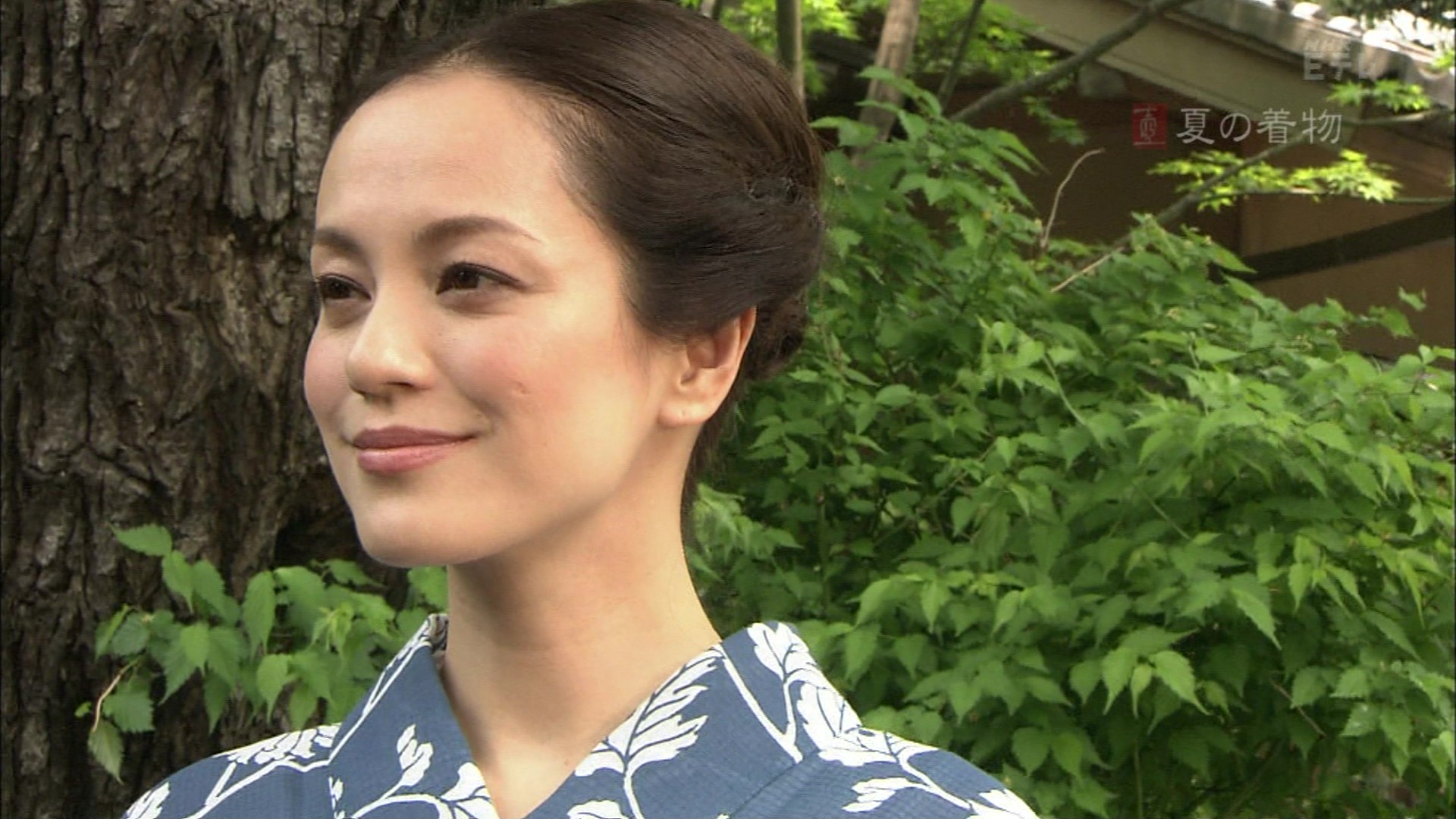 美の壺 選 夏の着物 245 こんなテレビを見た