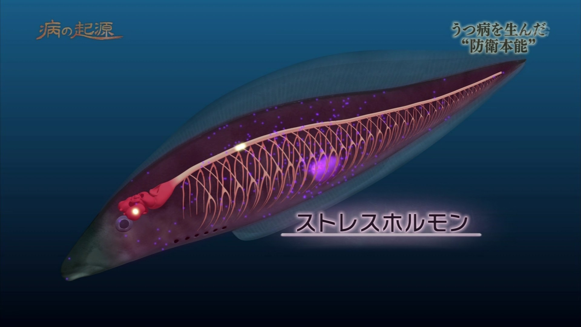 Nスペ 病の起源 第3集「うつ病～防衛本能がもたらす宿命 ...