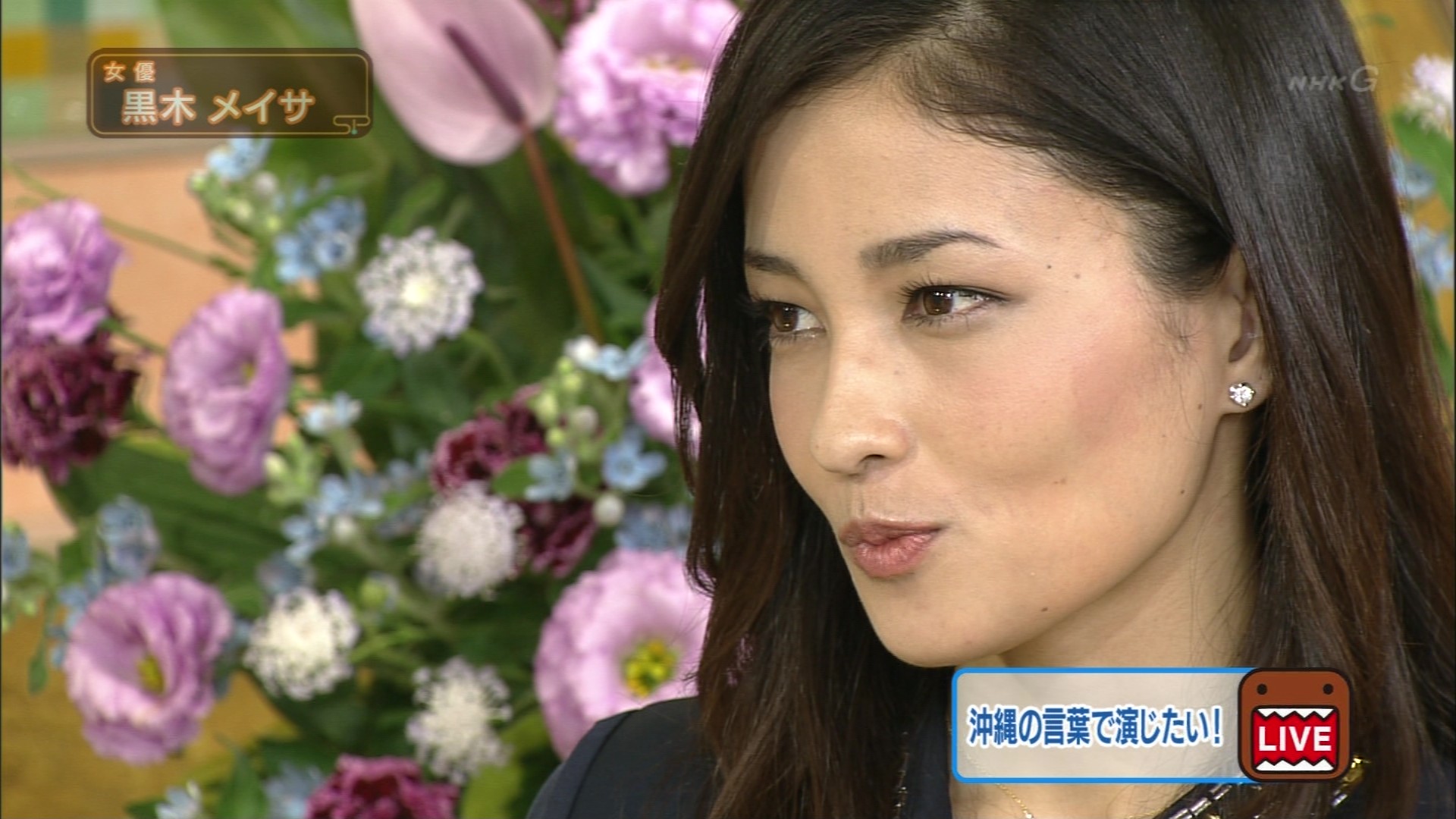 スタジオパークからこんにちは 黒木メイサ こんなテレビを見た スタジオパークからこんにちは 黒木メイサ こんなテレビを見た