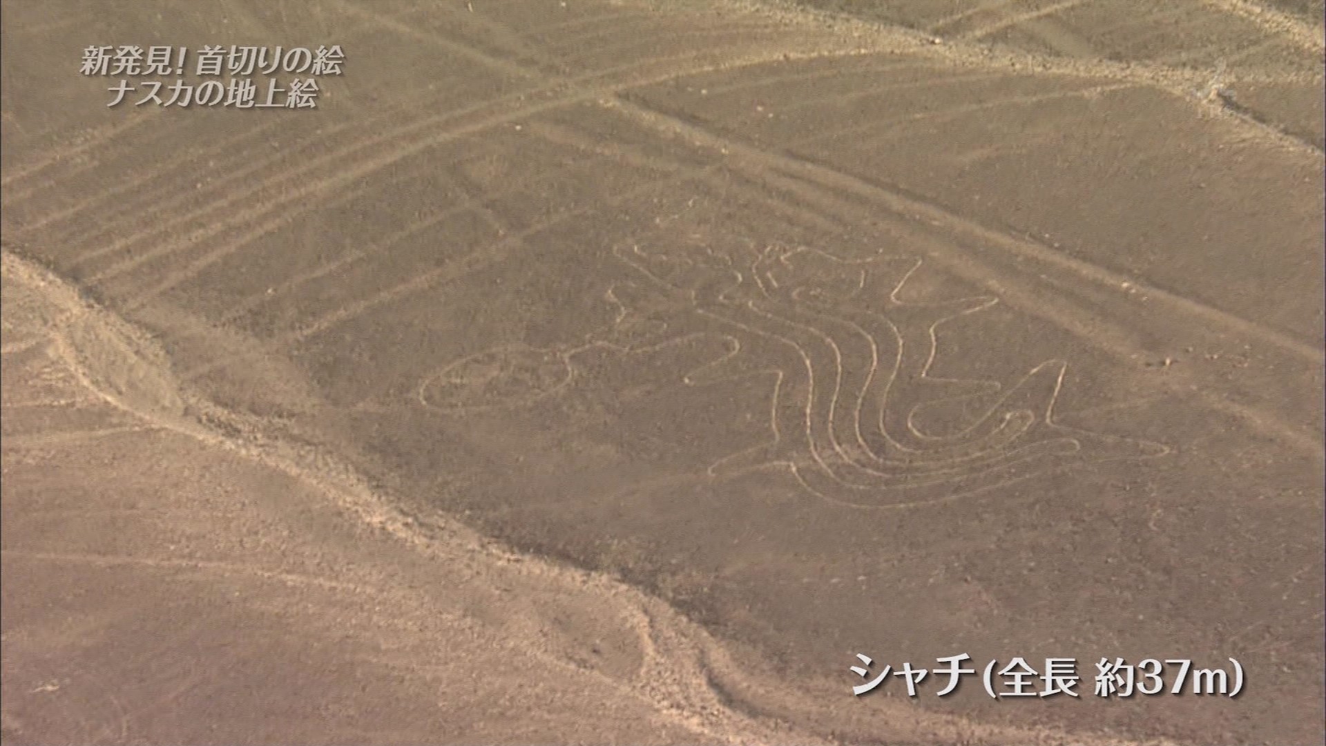 ペルー　地上絵のナスカの土中から発掘された土器です ペルー 地上絵のナスカの土中から発掘された土器です