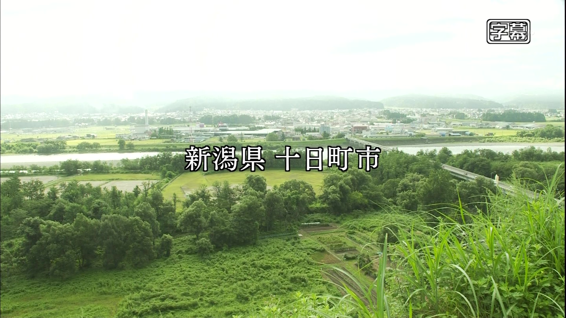 孤独のグルメseason3 第11話 十日町ドライブインの牛肉の煮込みと五目釜めし こんなテレビを見た 孤独のグルメseason3 第11話 十日町ドライブインの牛肉の煮込みと五目釜めし こんなテレビを見た