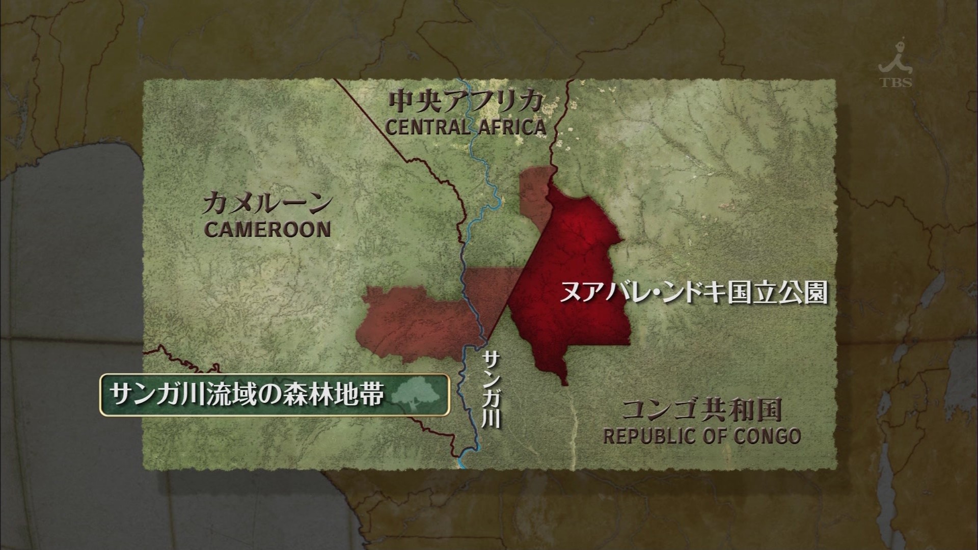 ｔｈｅ世界遺産 アフリカのゾウが作った謎の湿地 サンガ コンゴ共和国ほか こんなテレビを見た