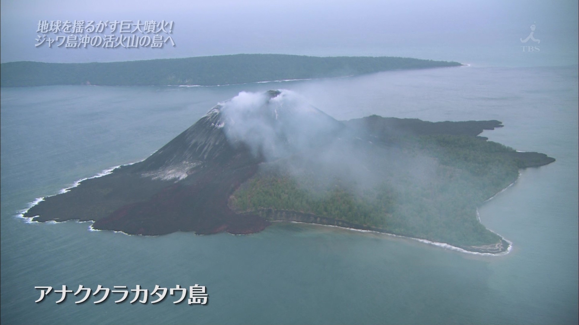 ｔｈｅ世界遺産 大津波から甦った森で幻のサイを追う インドネシア こんなテレビを見た