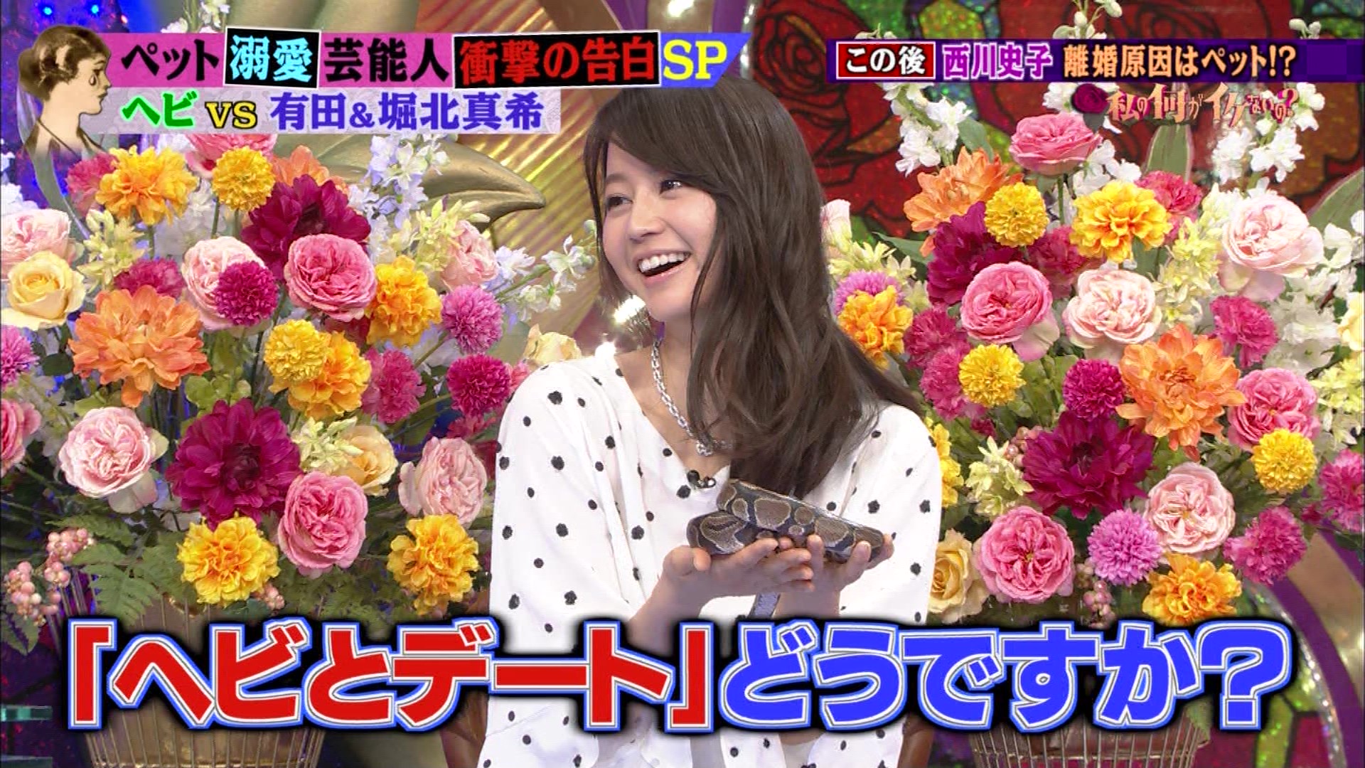 私の何がイケないの ペット溺愛芸能人 堀北真希 矢吹春奈 こんなテレビを見た