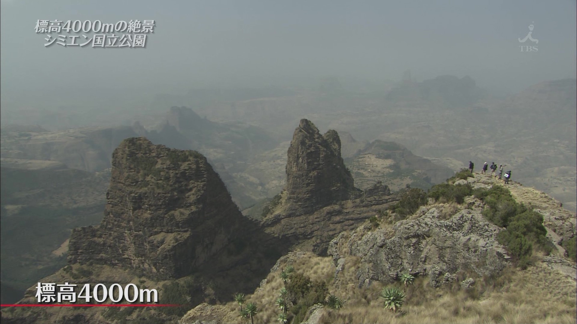 ｔｈｅ世界遺産 １５００ｍの絶壁にすむヒヒ エチオピア こんなテレビを見た