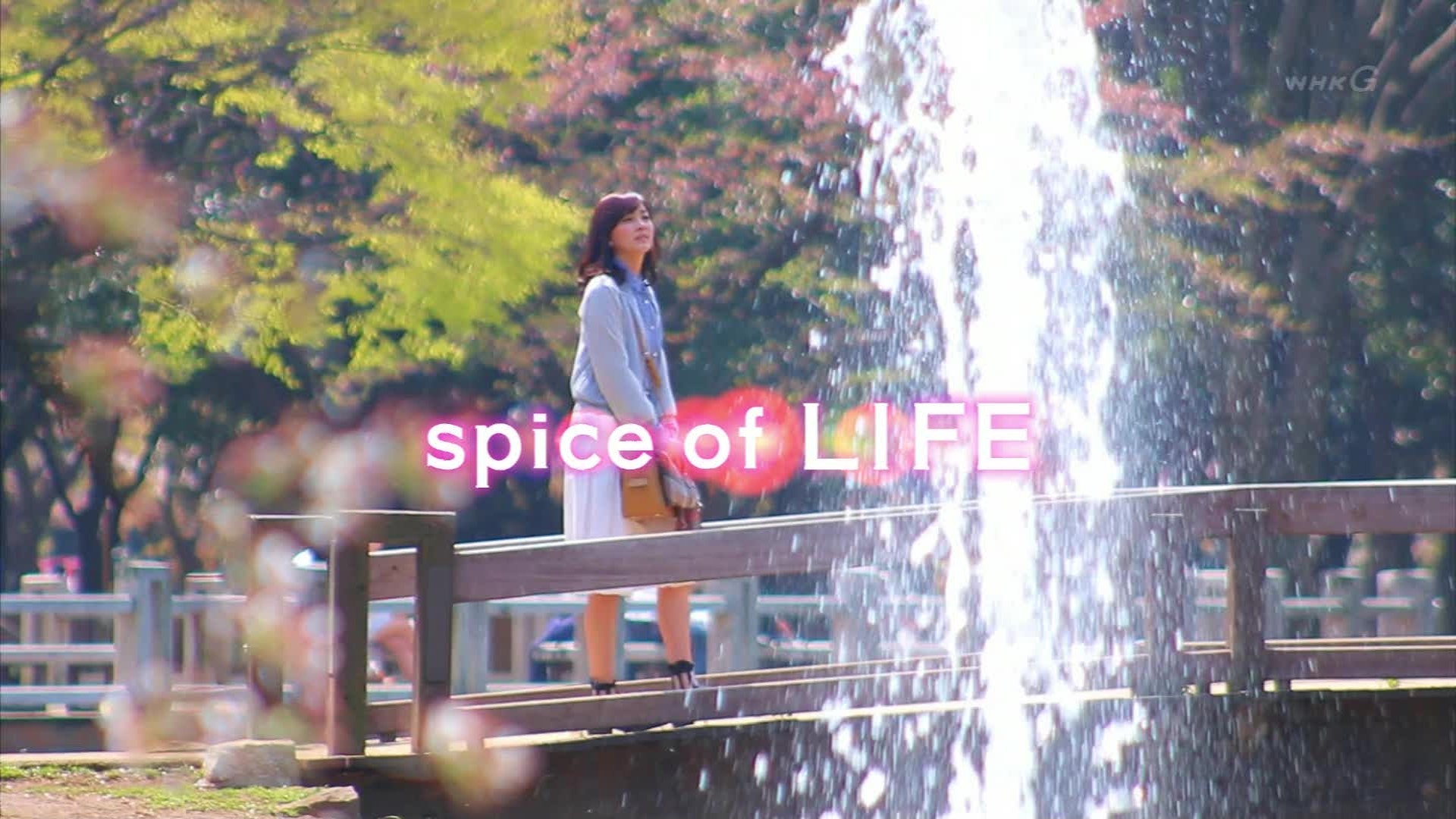 ｌｉｆｅ 人生に捧げるコント シリーズ２ ５ こんなテレビを見た