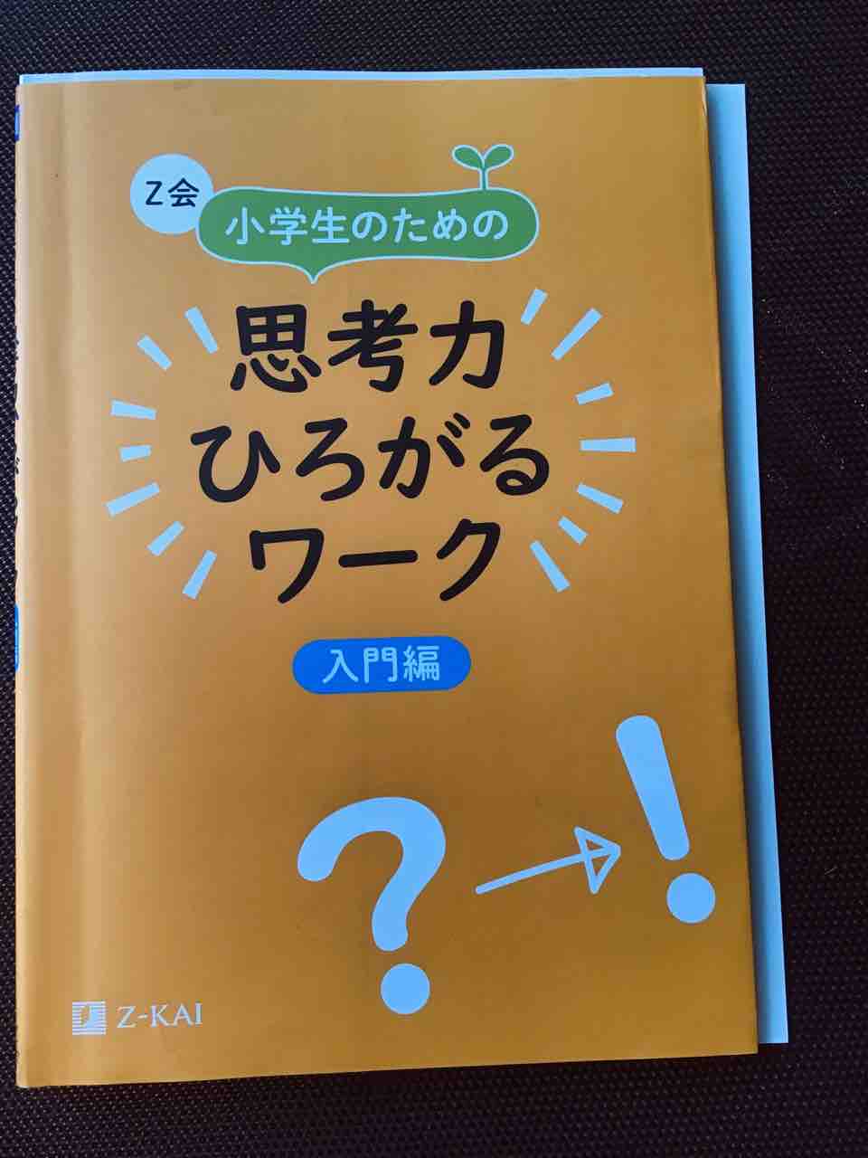 Z会思考力ひろがるワーク入門編感想レビュー口コミ 思考系ドリルとの比較 きゅうきゅう