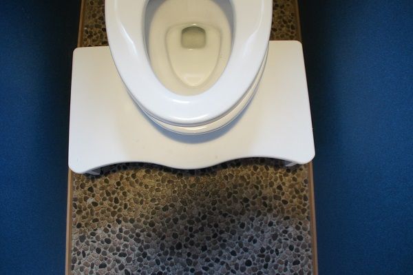 トイレの踏み台 トイレトレーニング きゅうきゅう
