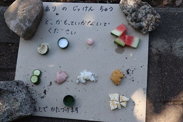 小学校1年 ありのすきなものしらべ 自由研究の種 小学2年女子家庭学習おかいもの記録 楽天ブログ 小学校1年 ありのすきなものしらべ 自由研究の種 小学2年女子家庭学習おかいもの記録 楽天ブログ