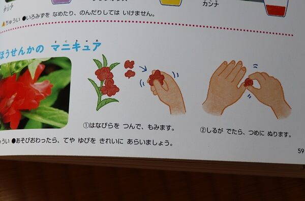 流血のほうせんかのマニキュア 小学2年女子家庭学習おかいもの記録 楽天ブログ 流血のほうせんかのマニキュア 小学2年女子家庭学習おかいもの記録 楽天ブログ