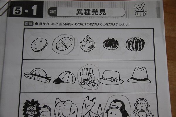 受験しないけど小学校受験問題をはじめる 集中ワーク しょうがく社 きゅうきゅう