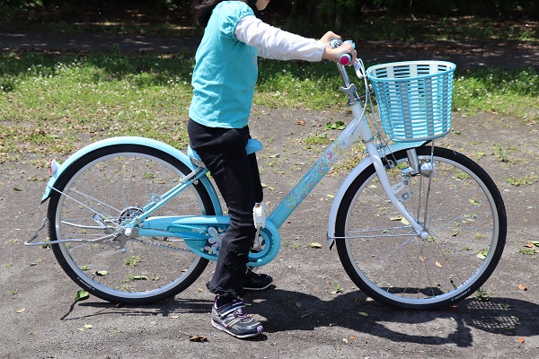 お引き取り限定 ブリヂストン　22インチ　エコパル お引き取り限定 ブリヂストン 22インチ エコパル エコパル