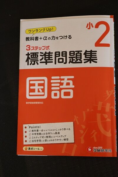 標準問題集2年国語レビュー 小学2年女子家庭学習おかいもの記録 楽天ブログ