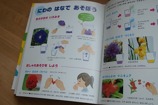 学研ふれあいしぜん図鑑 子供幼稚園児向け図鑑を買う感想