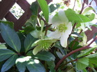 RIMG0221