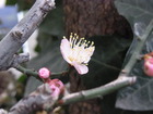 RIMG0934