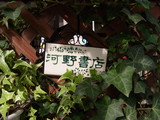 RIMG0010