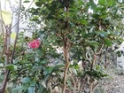 IMG_20191116_074828_1