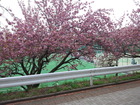 CA3K0165