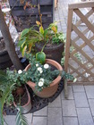 RIMG0685