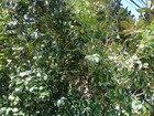 IMG_20200928_075742