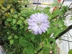 IMG_20200427_084445