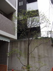 RIMG0108