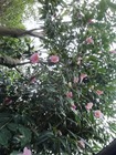 IMG_20200204_075745