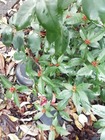 IMG_20191210_080640
