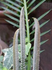 RIMG0063