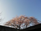 IMG_20200321_075909