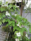 IMG_20200425_160956