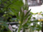 RIMG0197