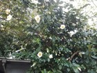 IMG_20191201_075542