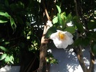 KIMG0719