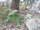 IMG_20191204_080336