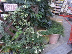 RIMG0634
