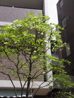 RIMG0123