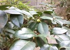 KIMG0186