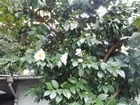 IMG_20191210_080505