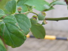 RIMG0281